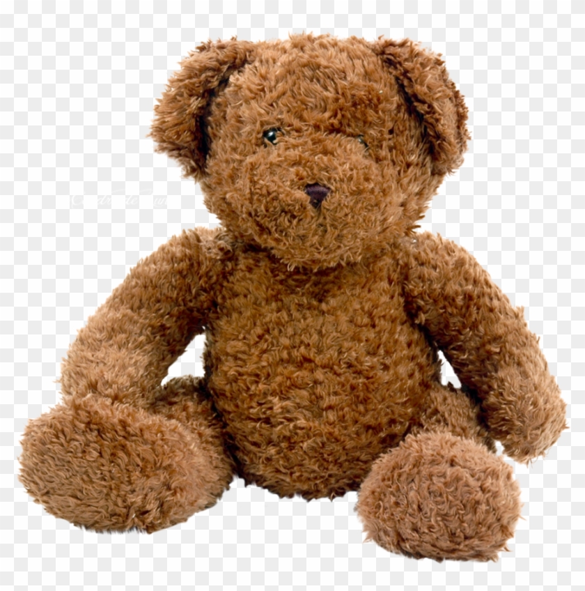 transparent teddy bear