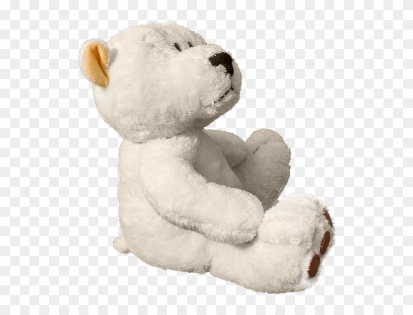 teddy bear transparent