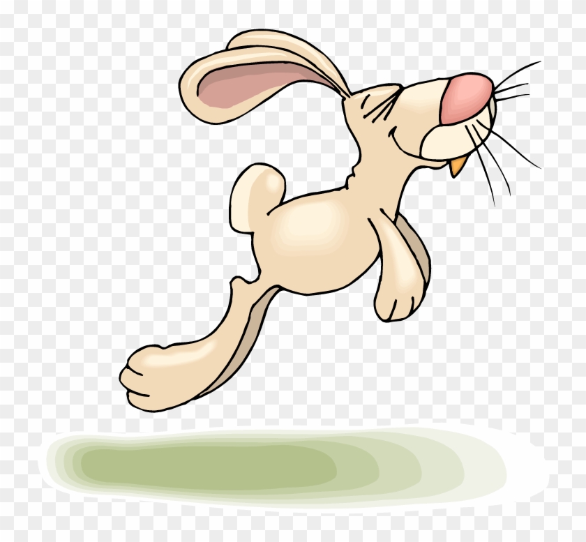 Jumping Bunny Png - Jumping Rabbit Clipart, Transparent Png -  750x698(#517988) - PngFind