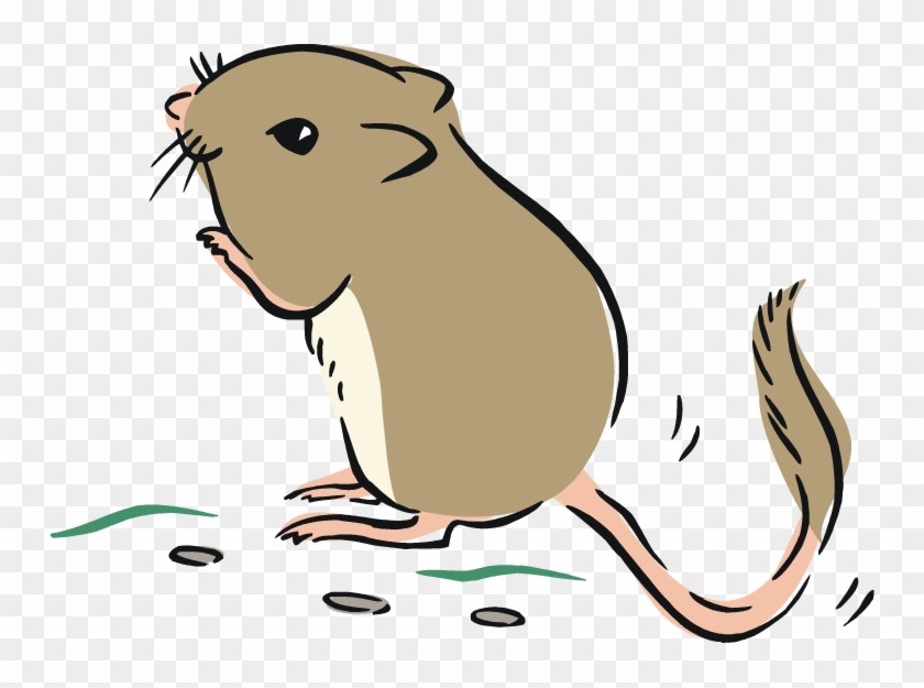 Zodiac Clipart Rat - Rat Clipart Png, Transparent Png - 750x545(#518966