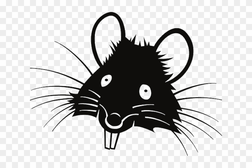 Rat Clipart Transparent Png Dientes De Rata Png Png Download 640x480 Pngfind Rat Clipart Transparent Png Dientes De Rata Png Png Download 640x480 Pngfind