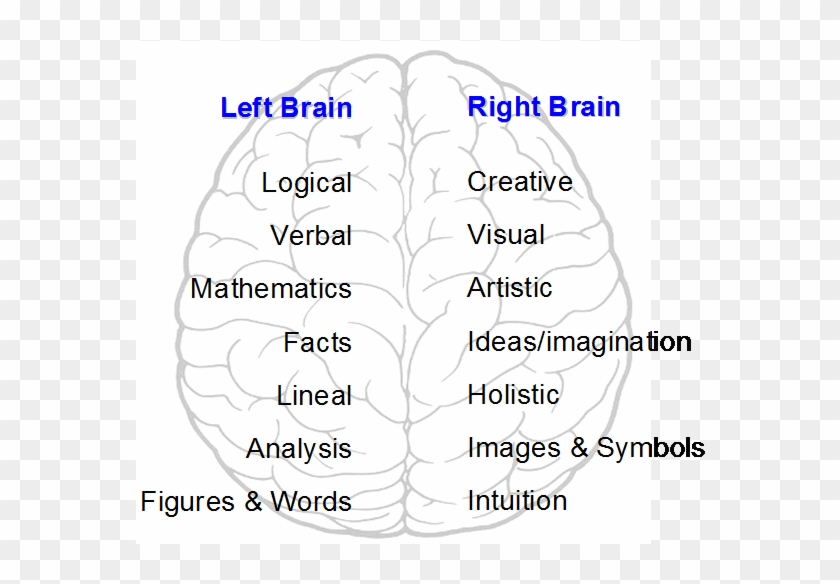 ᐉ Left/Right Brain Test - Take the Left or Right Brain Test for Free