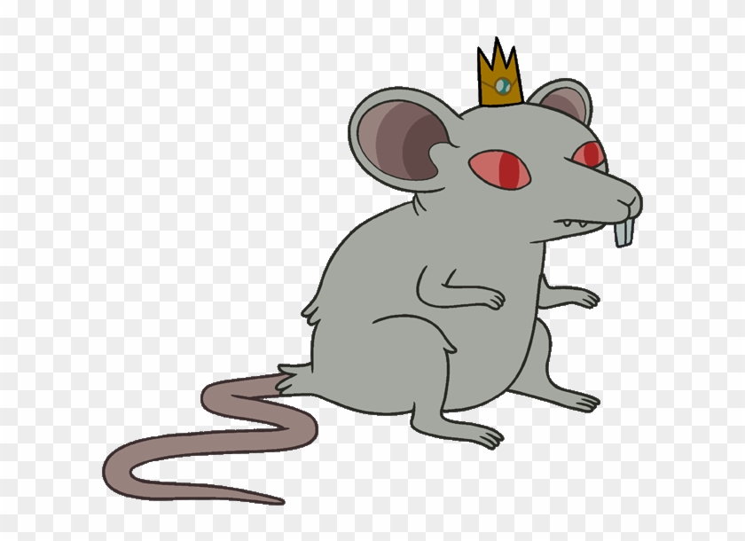 King Adventure Time Wiki Fandom Powered By Rat With A Crown Hd Png Download 617x535 Pngfind