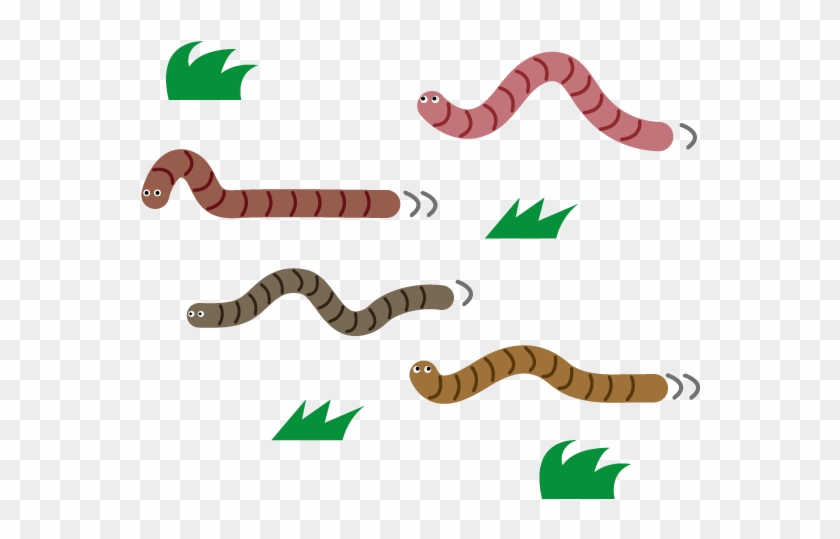 Earth Worm Transparent Png イラスト 素材 フリー ミミズ Png Download 613x613 Pngfind