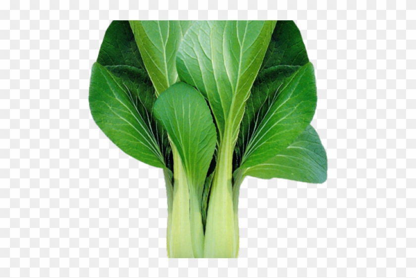 Bok Choy Clipart Vegtable - Native Pechay, HD Png Download - 640x480 ...