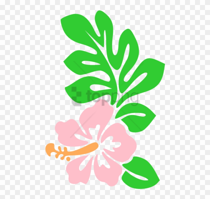 Free Png Hawaii Flower Cartoon Draw Hawaiian Flowers - Hawaii Flower,  Transparent Png - 480x716(#5133186) - PngFind