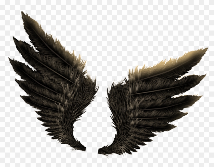Wings Png Images Free Download Angel Wings Png Wings For Photo