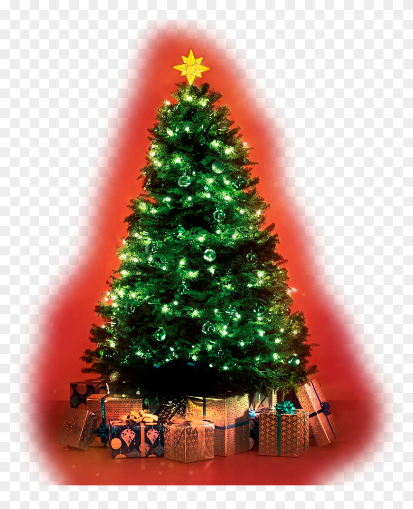 Arvore De Natal Png - Christmas Tree, Transparent Png - 843x1000(#5145677)  - PngFind