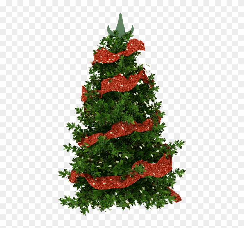 Árvore De Natal, Planta, Natal, Árvore, Natureza - Christmas Tree, HD Png  Download - 460x720(#5146943) - PngFind