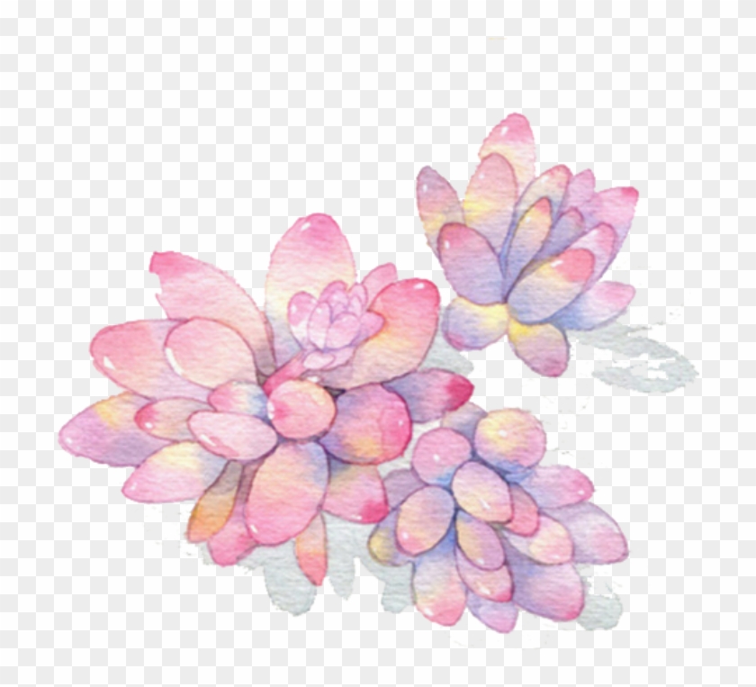 Download Ftestickers Watercolor Plants Succulents Transparent Watercolor Succulent Watercolour Hd Png Download 716x683 5151259 Pngfind
