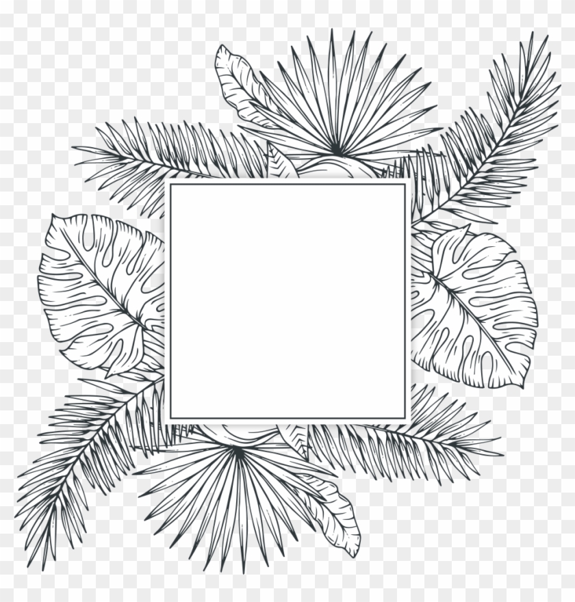 Tropical plants sketch for your design  Plant sketches Botanical line  drawing Plant doodle