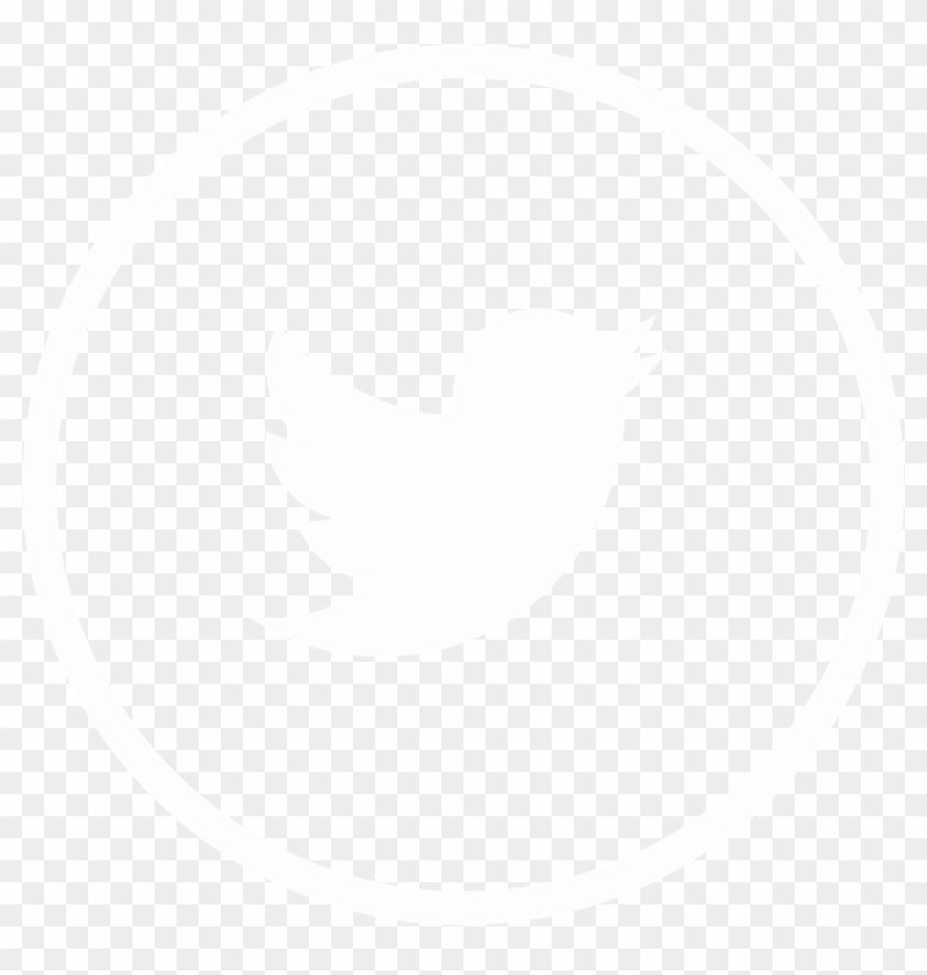 Nl-twitter - Twitter Icon Gray Circle, HD Png Download -  1022x1027(#5170026) - PngFind