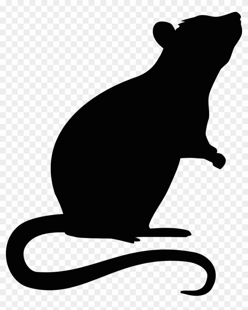 Mouse Rodent Transprent Png Free Download Ⓒ - Transparent Rat Silhouette,  Png Download - 1200x1444(#5178711) - PngFind