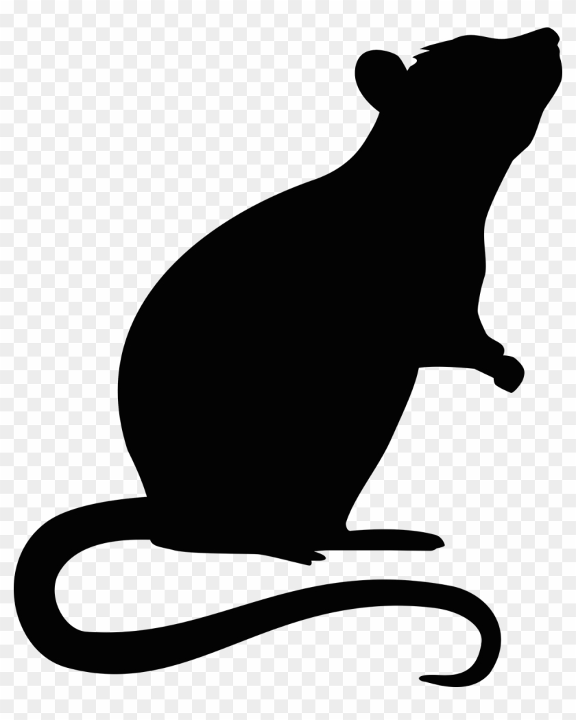 Mouse Rodent Transprent Png Free Download Ⓒ - Transparent Rat Silhouette, Png Download - 1200x1444(#5178711) - PngFind Mouse Rodent Transprent Png Free Download Ⓒ - Transparent Rat Silhouette, Png Download - 1200x1444(#5178711) - PngFind