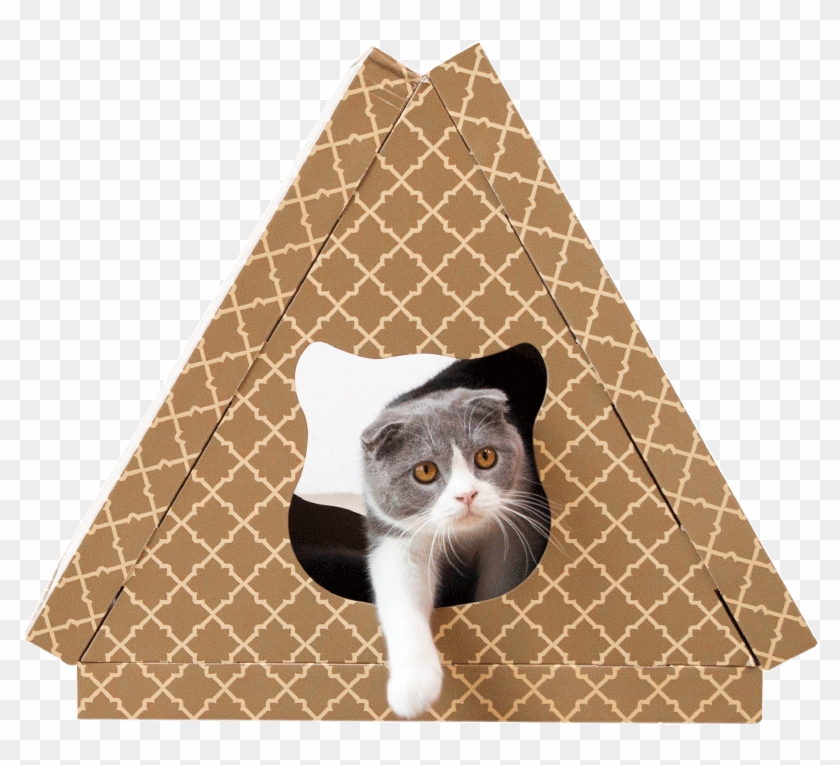 cat scratch triangle