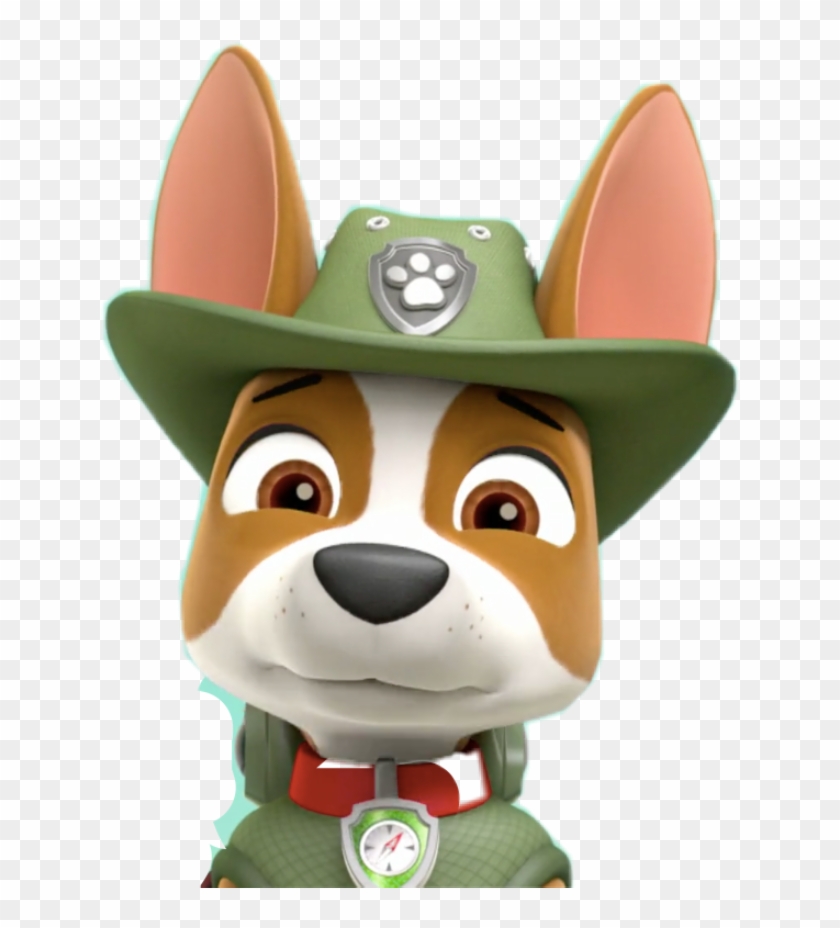 tracker auto paw patrol