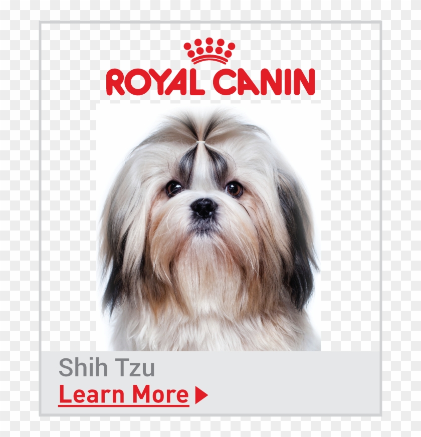 Royal Canin Breed Specific Shih Tzu Food Royal Canin Dog Food
