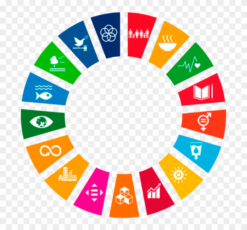 Sdg Colour Wheel