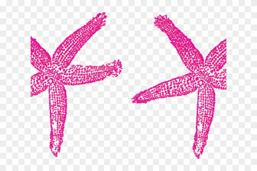 Starfish Clipart Peach, HD Png Download - 640x480(#5269104) - PngFind