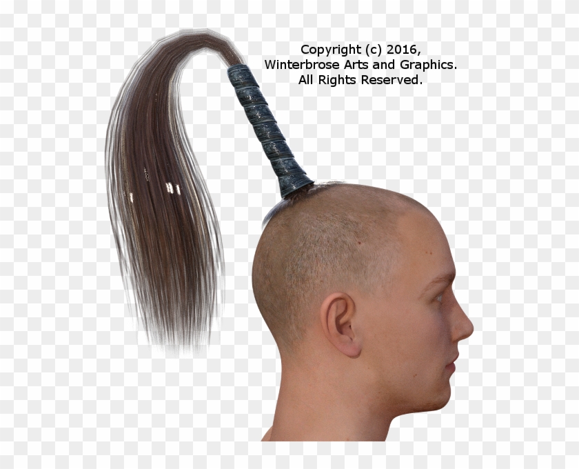 Genesis 3 Male - Horse Tail Hairstyle, HD Png Download - 537x600(#530041) -  PngFind