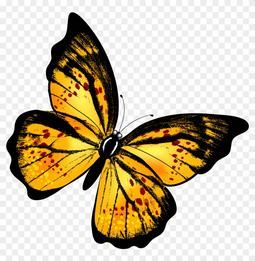 Yellow Butterfly Png, Transparent Png - 1728x1724(#531394) - PngFind