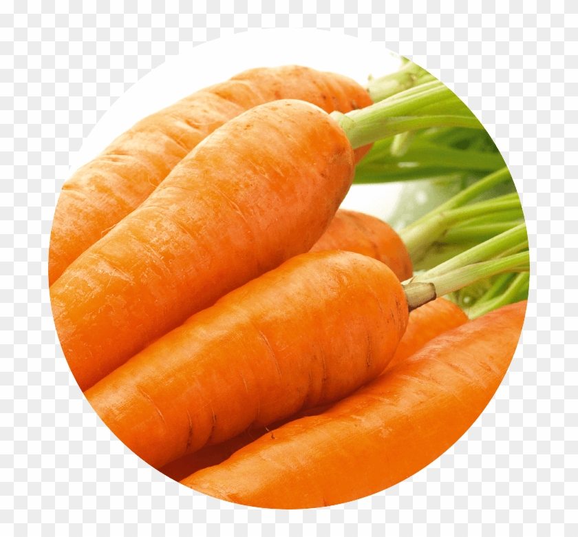 сорта магазинной моркови. вес 1 морковки. морковь клипарт. лента из моркови. морковь за кг.