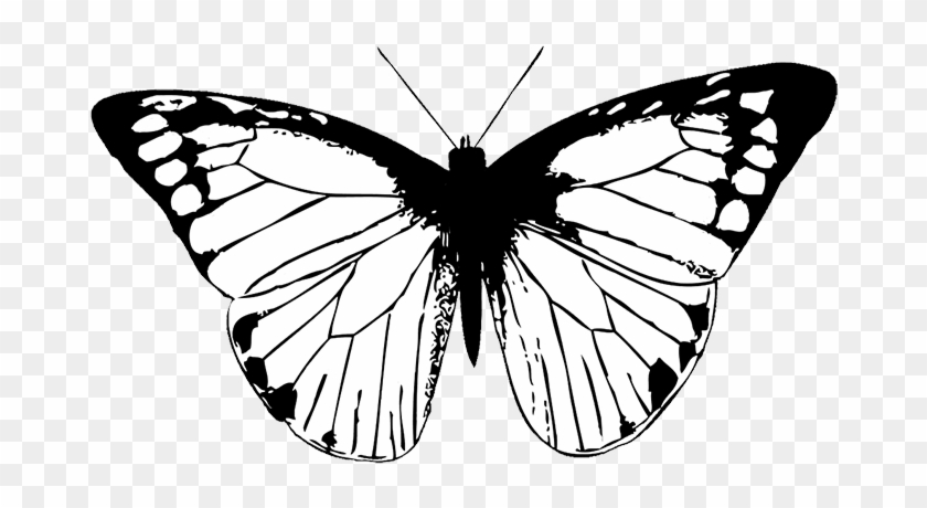 Butterfly Black Butterfly Clipart Png Black Butterfly Wings Png