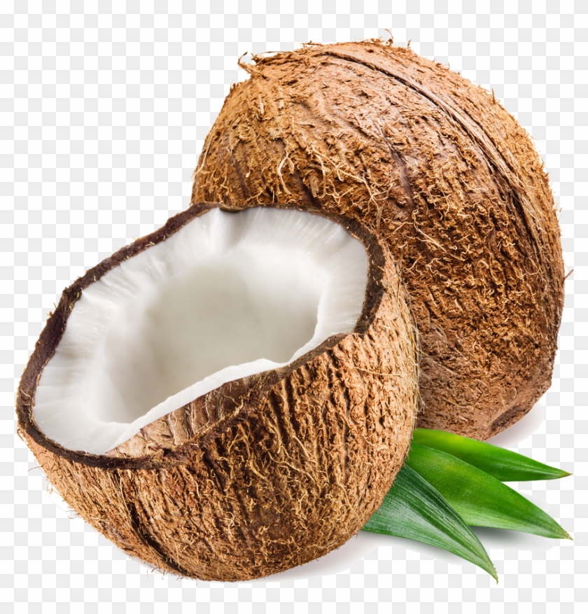 Coconut Png Transparent Photo - Coconut Png Transparent, Png Download ...