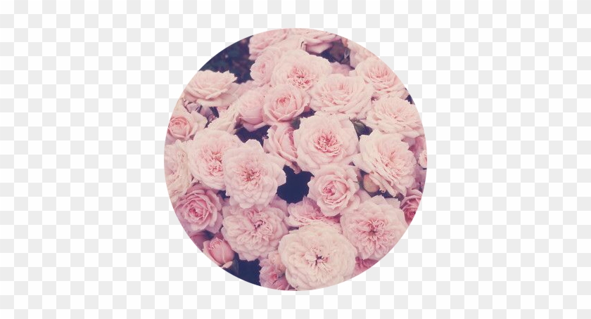 Pink Tumblr Whatsapp Icon Aesthetic - Euaquielela