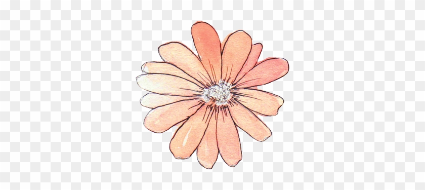 Tumblr Flower Watercolor Flower Draw Tumblr Png Transparent