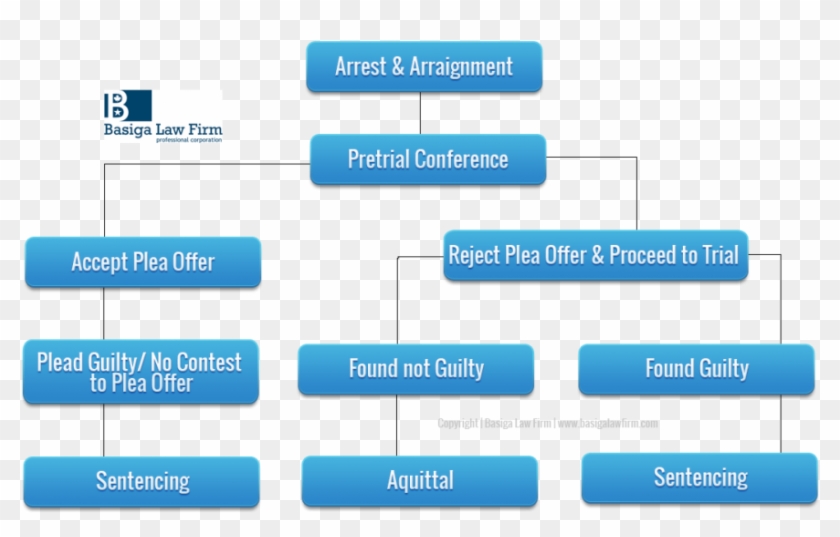 Trial Process Flow Chart