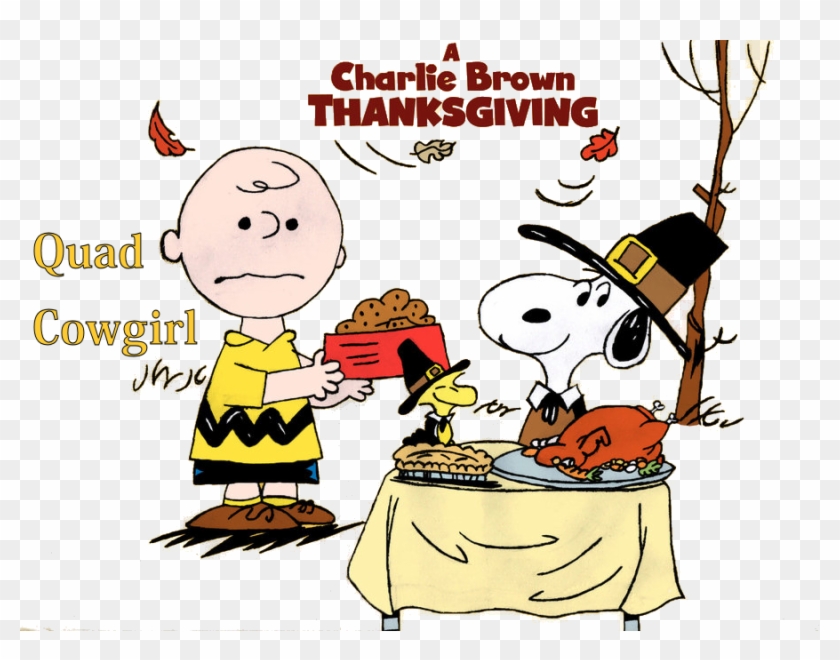 The Peanuts Movie Charlie Brown Thanksgiving Movie Hd Png Download 900x665 5317820 Pngfind