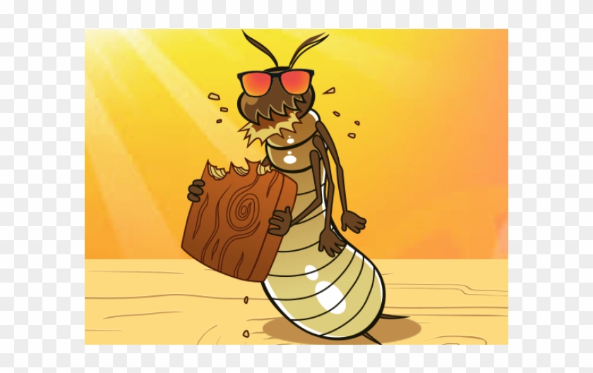 Featured image of post Illustration Termite Cartoon Illustration termite isolated on white background insect species termite ant eaten wood decay and damaged wooden bite cartoon termite clip art animal type termite or white ants