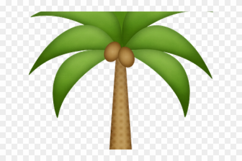 Palmeras Para Recortar, HD Png Download - 640x480(#5322369) - PngFind palmeras-para-recortar-hd-png-download-640x480-5322369-pngfind