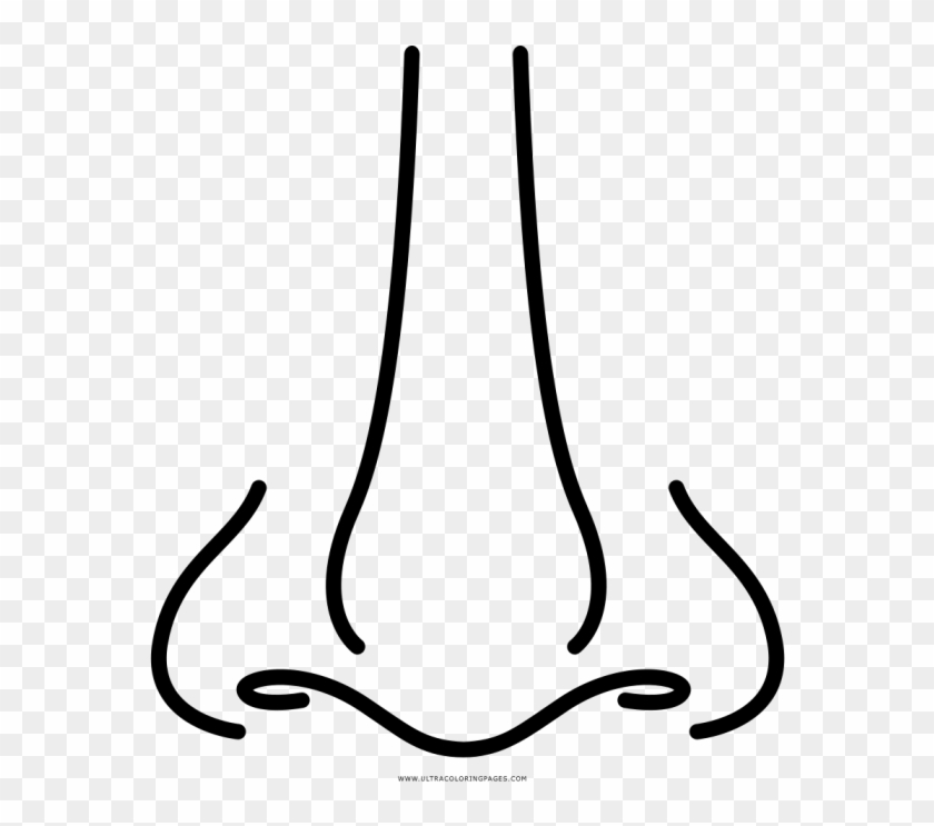 Nose картинки для детей