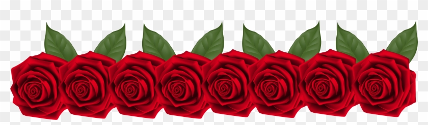 Roses Decoration Transparent Png Clip Art Image - Fila De Rosas Png, Png  Download - 8000x2058(#5331259) - PngFind