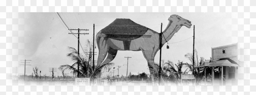 Preservation Update - Boca Raton Early 1900s, HD Png Download ...