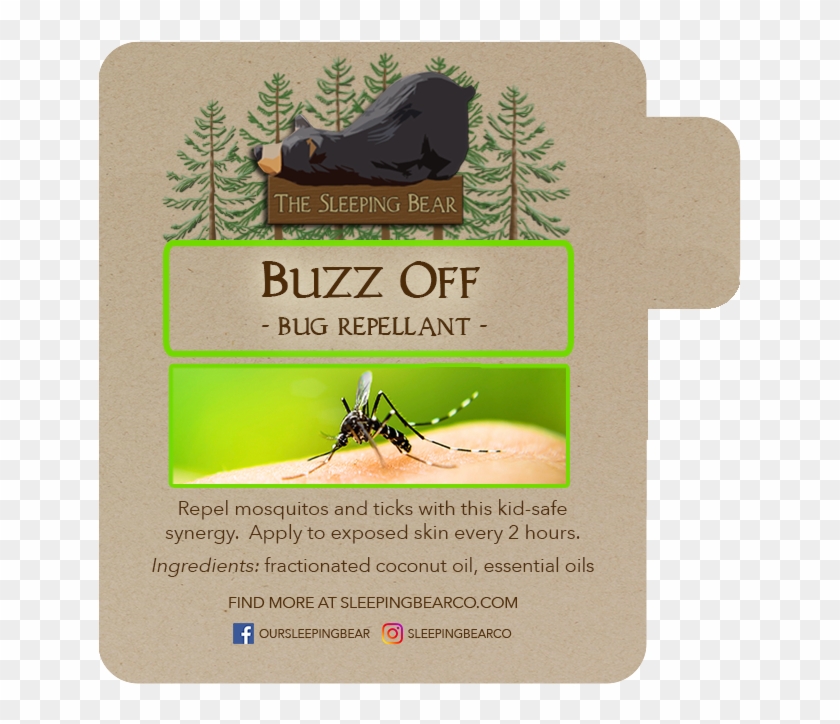 Buzz Off Roll on Plywood HD Png Download 696x882 5363334 PngFind