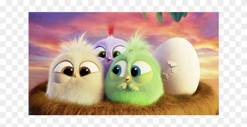 Hatchlings Are Baby Birds That Were Introduced In The Angry Bird Hatchlings Hd Png Download 960x350 Pngfind