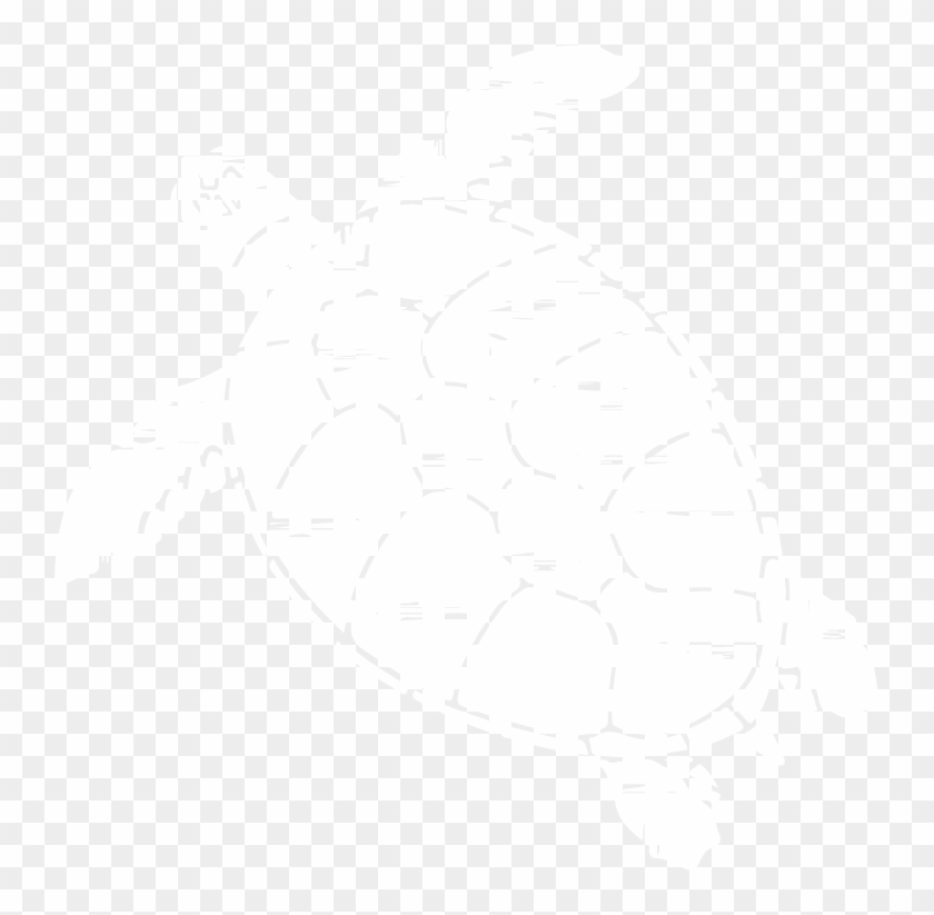 Corporate Icon Jpg File Tortol Turtle White Illustration Hd Png Download 743x743 5383798 Pngfind