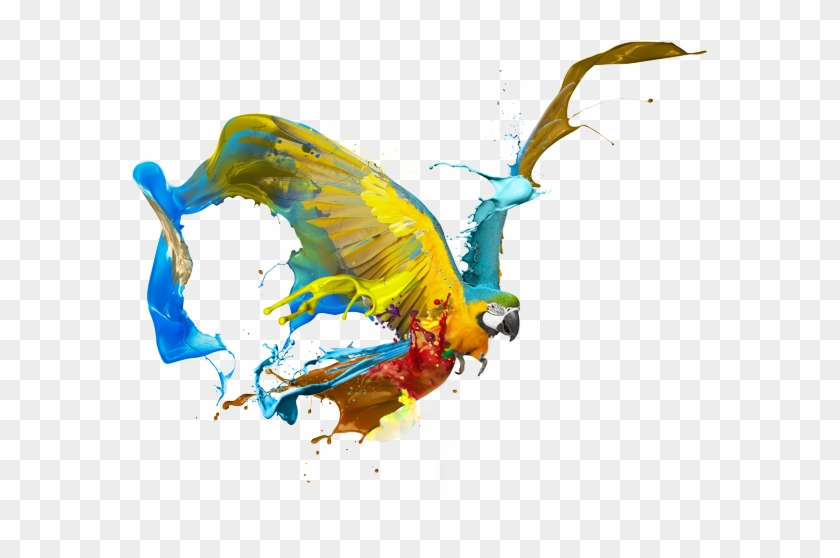 Graphic Design Art Png Creative Logo Png Design Transparent Png 600x536 Pngfind Graphic Design Art Png Creative Logo Png Design Transparent Png 600x536 Pngfind