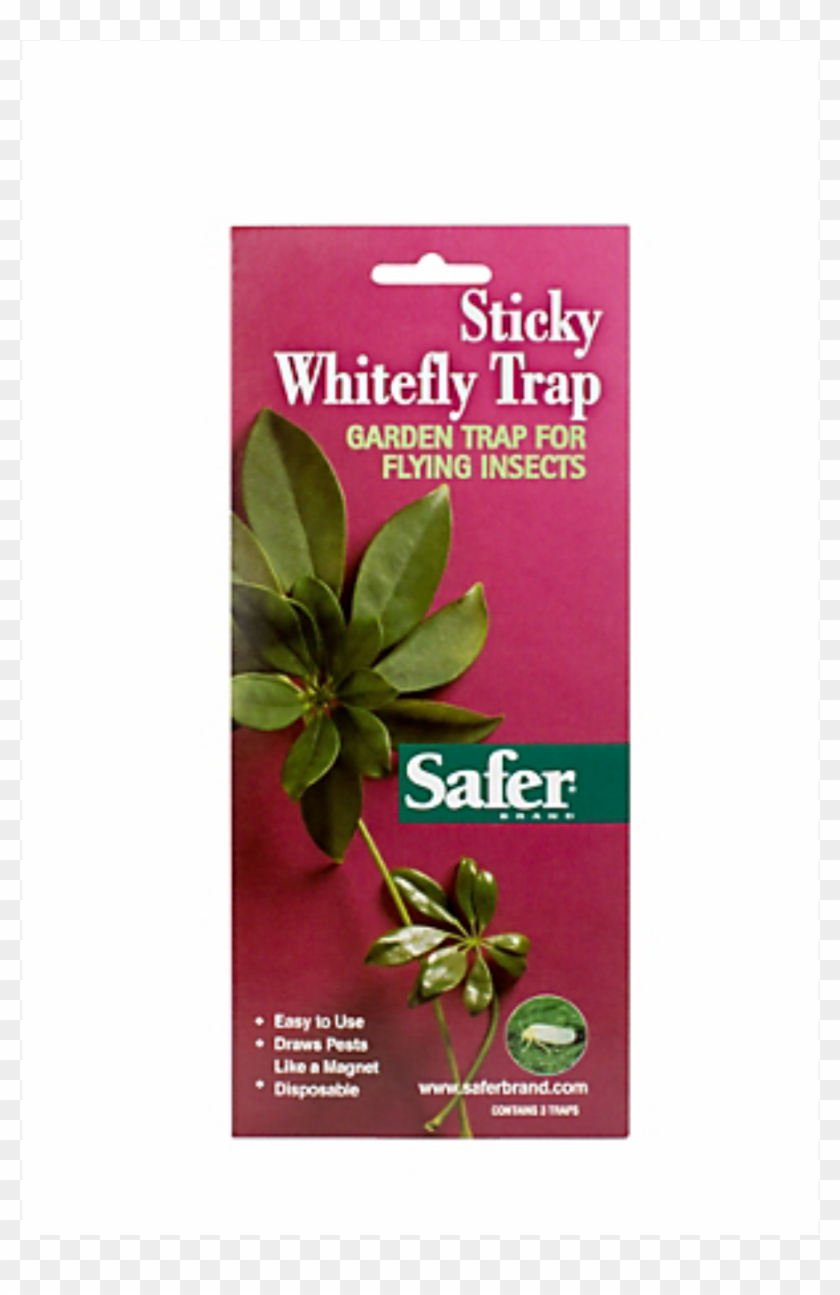Safer® Brand Sticky Whitefly Trap - Herbal, HD Png Download - 1600x1600 ...