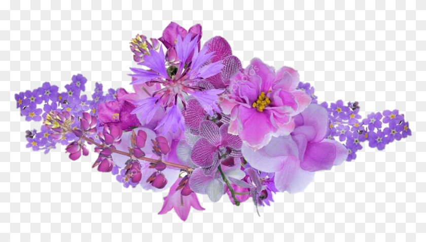 orquídeasblancas #orquideas #flores #flower - Artificial Flower, HD Png  Download - 882x456(#5478686) - PngFind