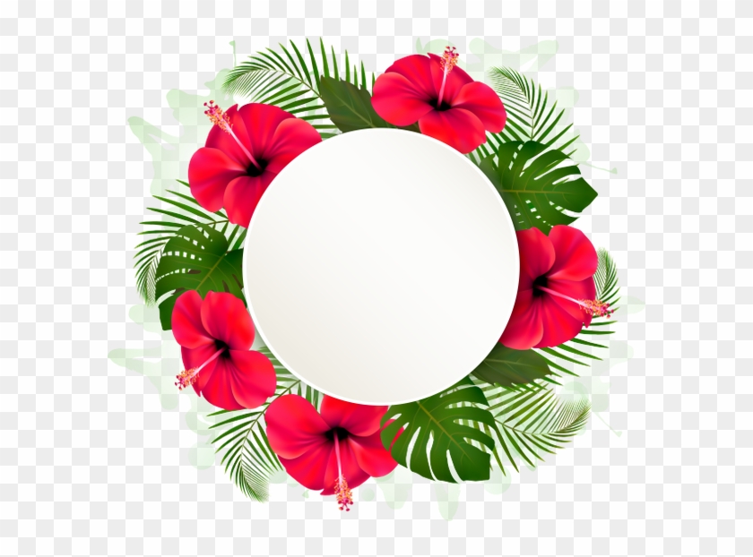 Цветочная Рамка, Рамка Для Фотошопа, Цветы, Flower - Hawaiian Hibiscus