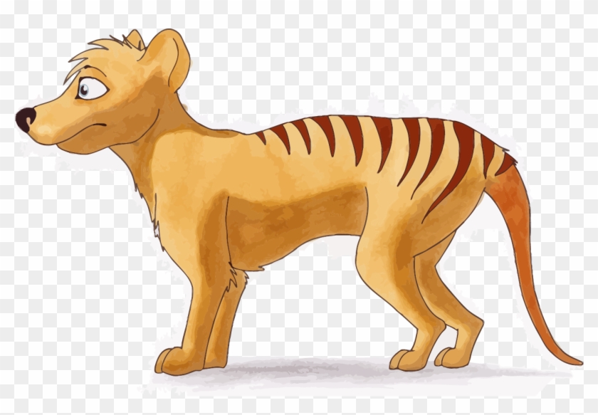 Tiger Side Small Clipart Png - Tasmanian Tiger Cartoon Drawing, Transparent  Png - 1285x832(#5496900) - PngFind