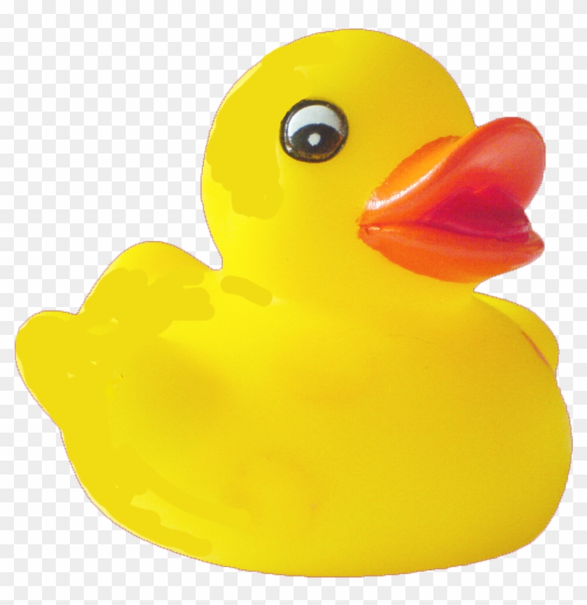 Bestrating Uitbreiden Met pensioen gaan Duck Png Pic - Rubber Duck Png, Transparent Png - 986x970(#550631) - PngFind