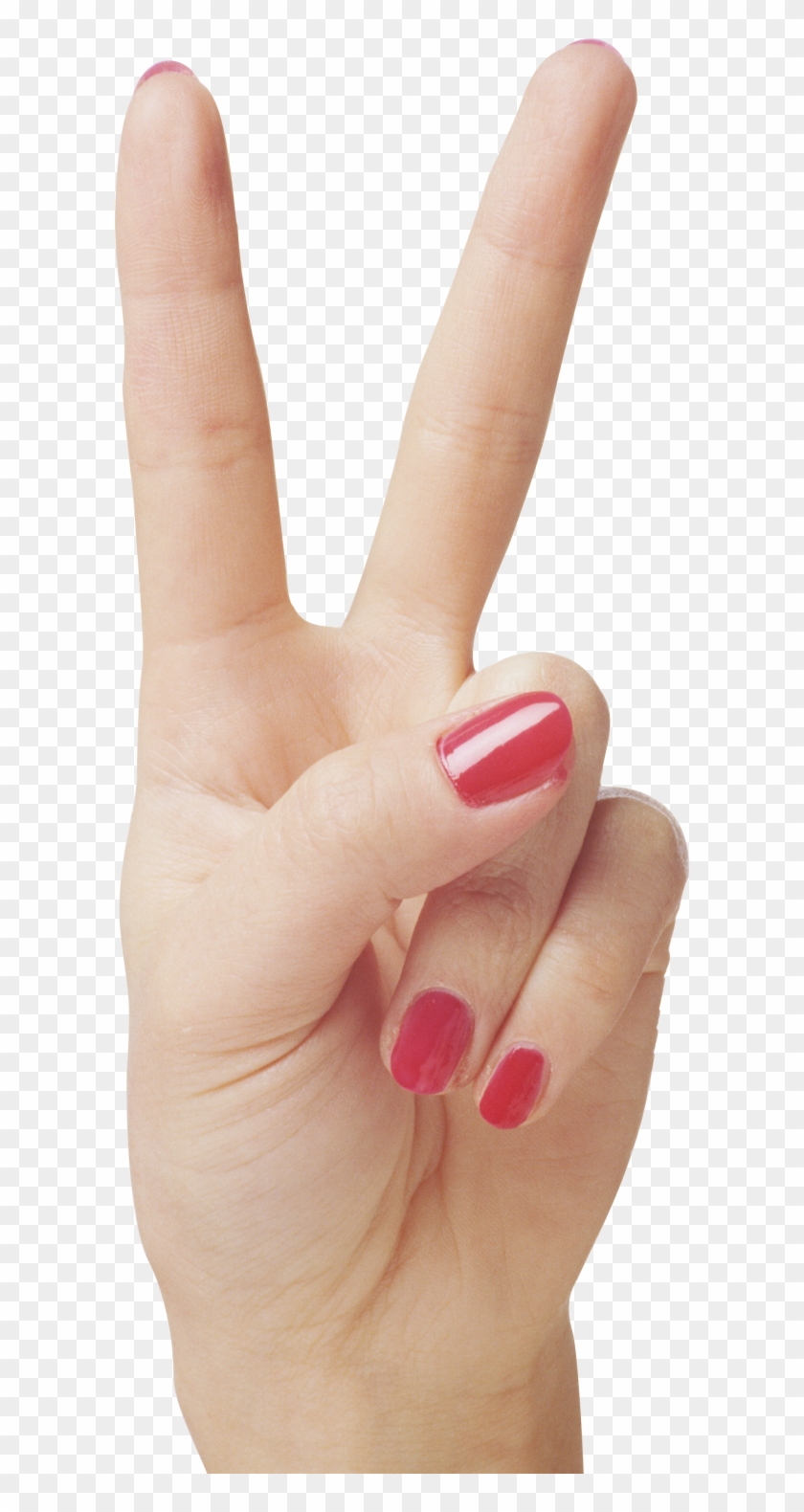 Downloadhand Downloadhand