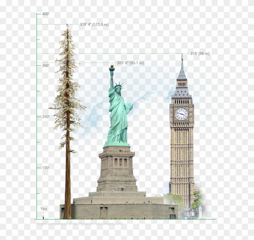 Tag - Trees - Statue Of Liberty, Hd Png Download - 630X740(#554934 ...