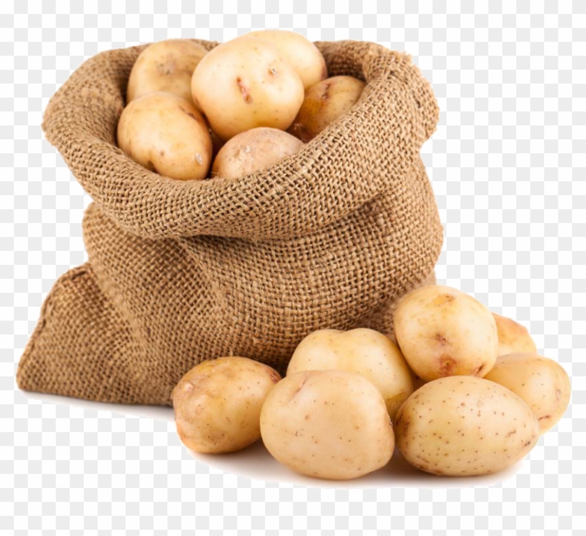 Bürstenhaus Redecker Reusable Potato Bag | Boston General Store