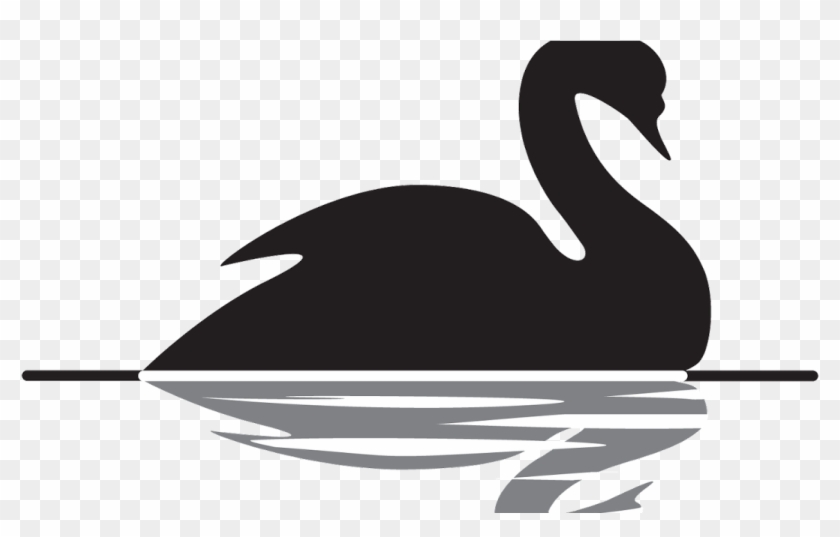 Where Is Wallpaper Wallpapers - Black Swan Theory, HD Png Download - 1200x630(#5500627) - PngFind Where Is Wallpaper Wallpapers - Black Swan Theory, HD Png Download - 1200x630(#5500627) - PngFind